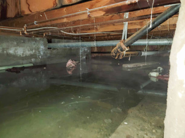 Best Ceiling water damage repair  in Agoura Hills, CA