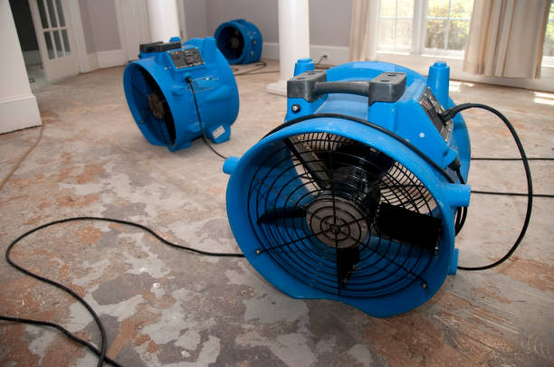 Best Water damage restoration near me  in Agoura Hills, CA