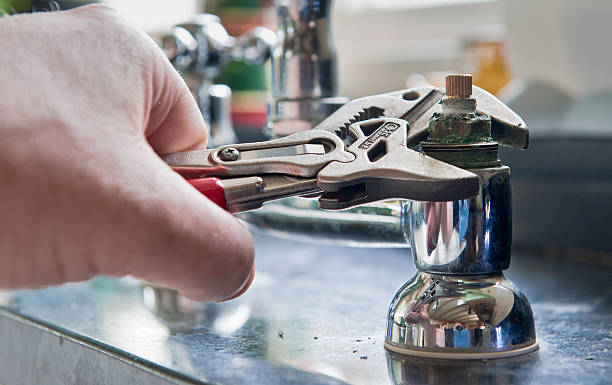 Best Mold removal after water damage  in Agoura Hills, CA