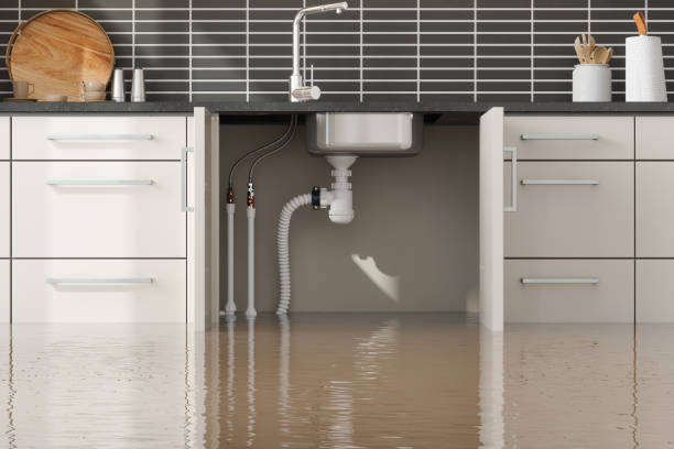 Best Professional water damage repair  in Agoura Hills, CA