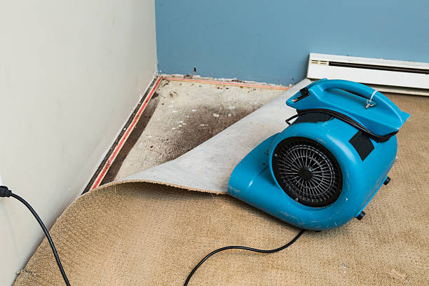 Best Water damage restoration near me  in Agoura Hills, CA